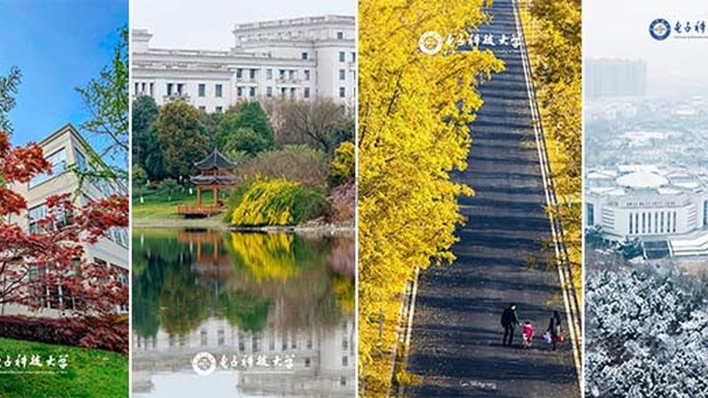 电子科技公司优缺点：揭秘行业背后的真相